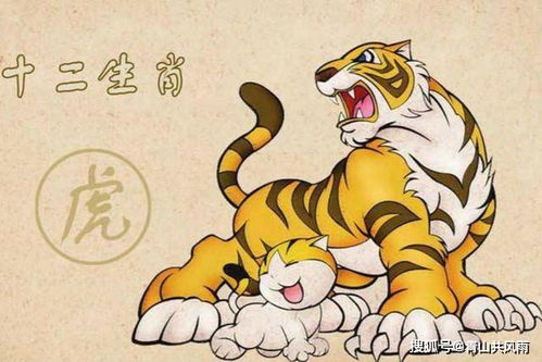 1974年属虎天秤座2026年运势和62年属虎天秤座今日运势分别是什么？