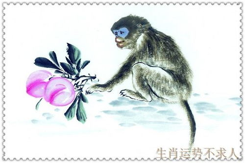 属马属猴婚姻吉凶，住几层楼最旺？