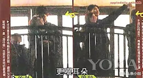 一、 爱的象征与命理隐喻