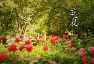 不同行业优选日期建议