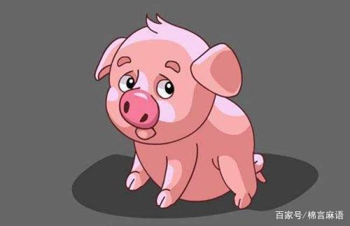 属猪的与哪个属相相冲呢？