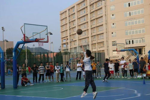 3. 錦瑞
