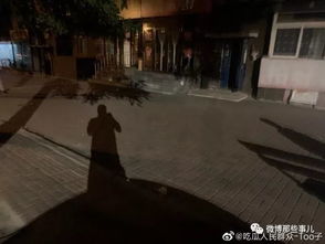 二、 案例采集概览