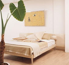 禁忌一：床头正对大门（门冲）