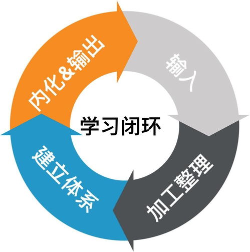 四、 系统化实施路径：从日常坚持到长效机制构建