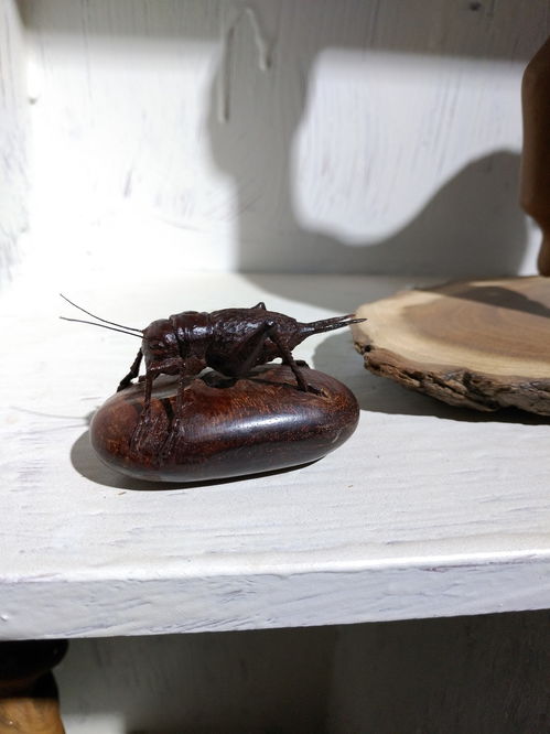 将雕虫小技打一生肖，是哪个生肖尾巴特长？