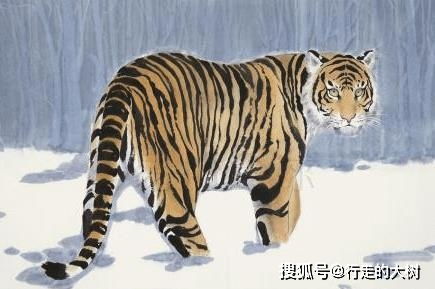 2026年属虎女性感情运势中，桃花会与哪个属相相合？