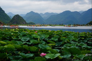 湿地公园也是个去处吧大概