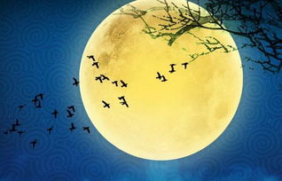 中秋月圆的动物生肖，尾巴长长的，是哪位生肖？