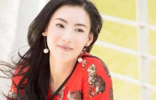 张柏芝案例的隐私与择吉考量