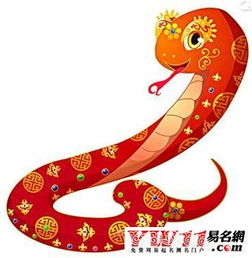 属蛇人出生在哪个月份会拥有蕞佳命运？