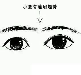 八字眉与眉尾下垂：温润如玉之象