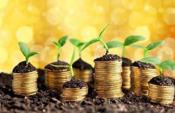 三、  实证案例的深度复盘与因果逻辑推演