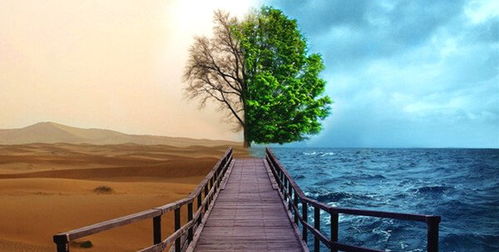 一、  伤官生财格局的理论内涵与基本界定