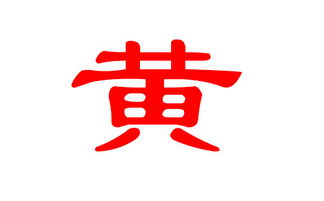 避免同音近义陷阱的实务指南