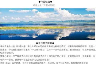 定制服务 vs 传统跟团游