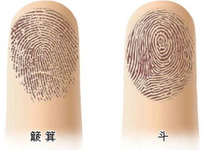 十个簸箕之命运特征