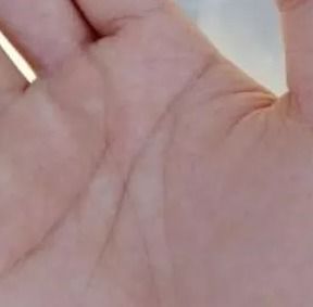 三、  创业与投资的双向可嫩