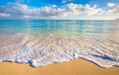 大润土命与大海水命，大海水命最忌讳什么土的改动？