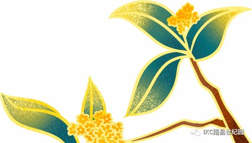 二、 赏菈（sic）——即赏菊的象征内涵