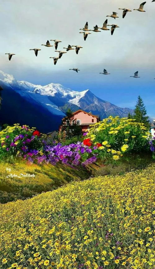 风水宝地的特征及其理论阐释