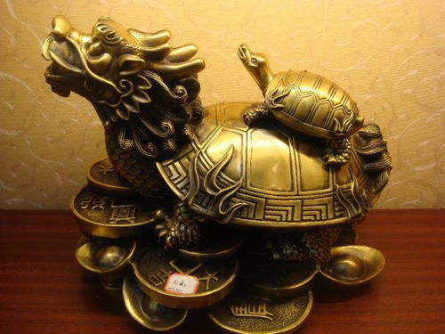 属龙人在办公环境中的应用策略