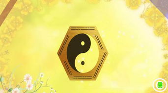 时神八字算命，能否通过八字神改写来预测未来运势？