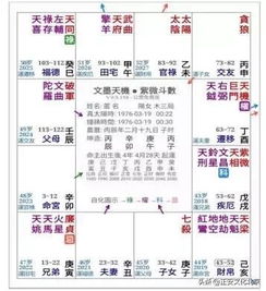 二、武曲主星的人际边界模糊与认知偏差
