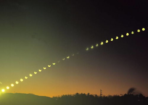 一、 从生肖星座角度解读