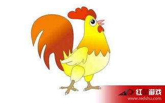 1981年属鸡今年运势如何，整体运势好不好？