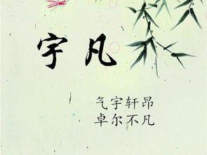 深度解析时间到！别眨眼哦