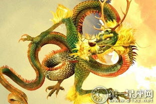 属龙人的感情状态如何，以及属龙今日打麻将手气怎样？