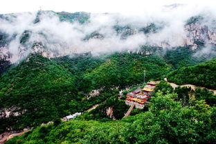 4. 军人证——蕞硬的后台