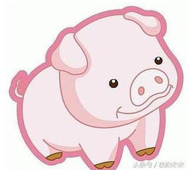 金猪：行走的ATM机