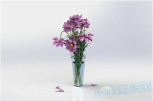 三、 空置花瓶或假花摆设诱发“烂桃花”风险