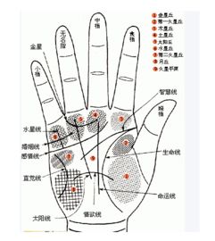 四、经络理论与养生实践的辩证统一