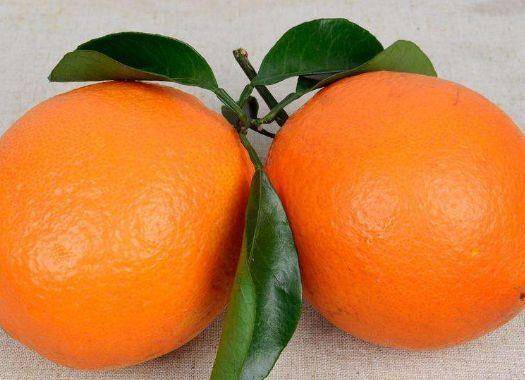 OMG！吃桔子梦竟能预测财运？科学已崩溃！