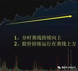 虎：斗志不屈与巅峰冲刺