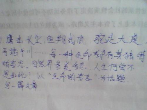 读音设计的严谨性