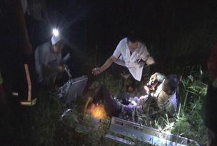 1.1 黑影闯入与仪式性冲突