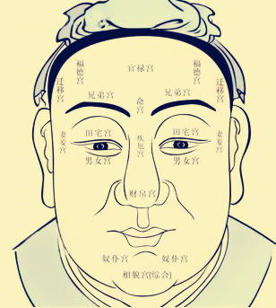 探究背景与方法论