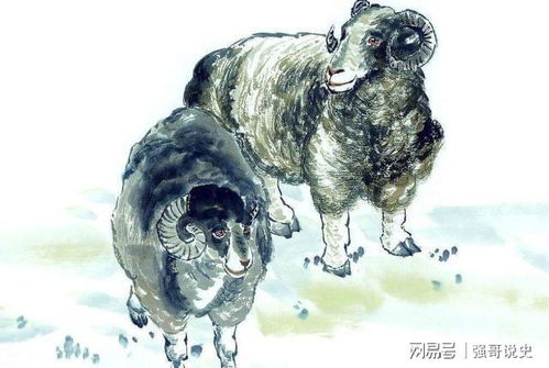二、 羊（肖羊）女性群体：温和顺从背后的欲望累积