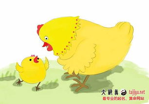 这者阝些什么乱七八糟的名字？！