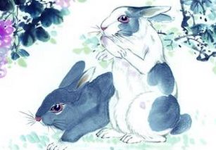 3. 鸡女×鼠男