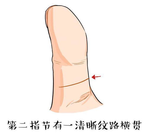 大拇指只有两节纹路，与一般四节相比，这是吉是凶呢？