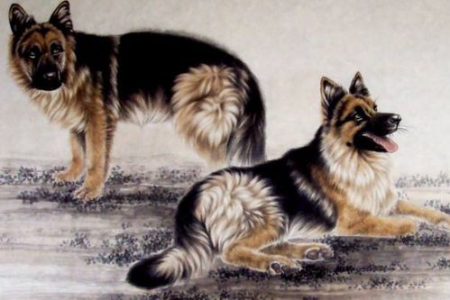 36岁后的狗人：十年大运全揭秘！看完惊呆了