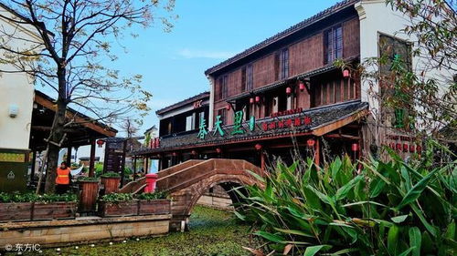 大气农庄名字有哪些，适合用来吸引游客的？