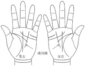 基本线条的系统阐释