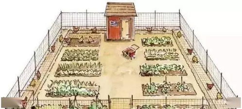 八字入墓命理如何，墓地选址有何讲究？