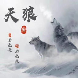 六、 名字的现代感与时尚感